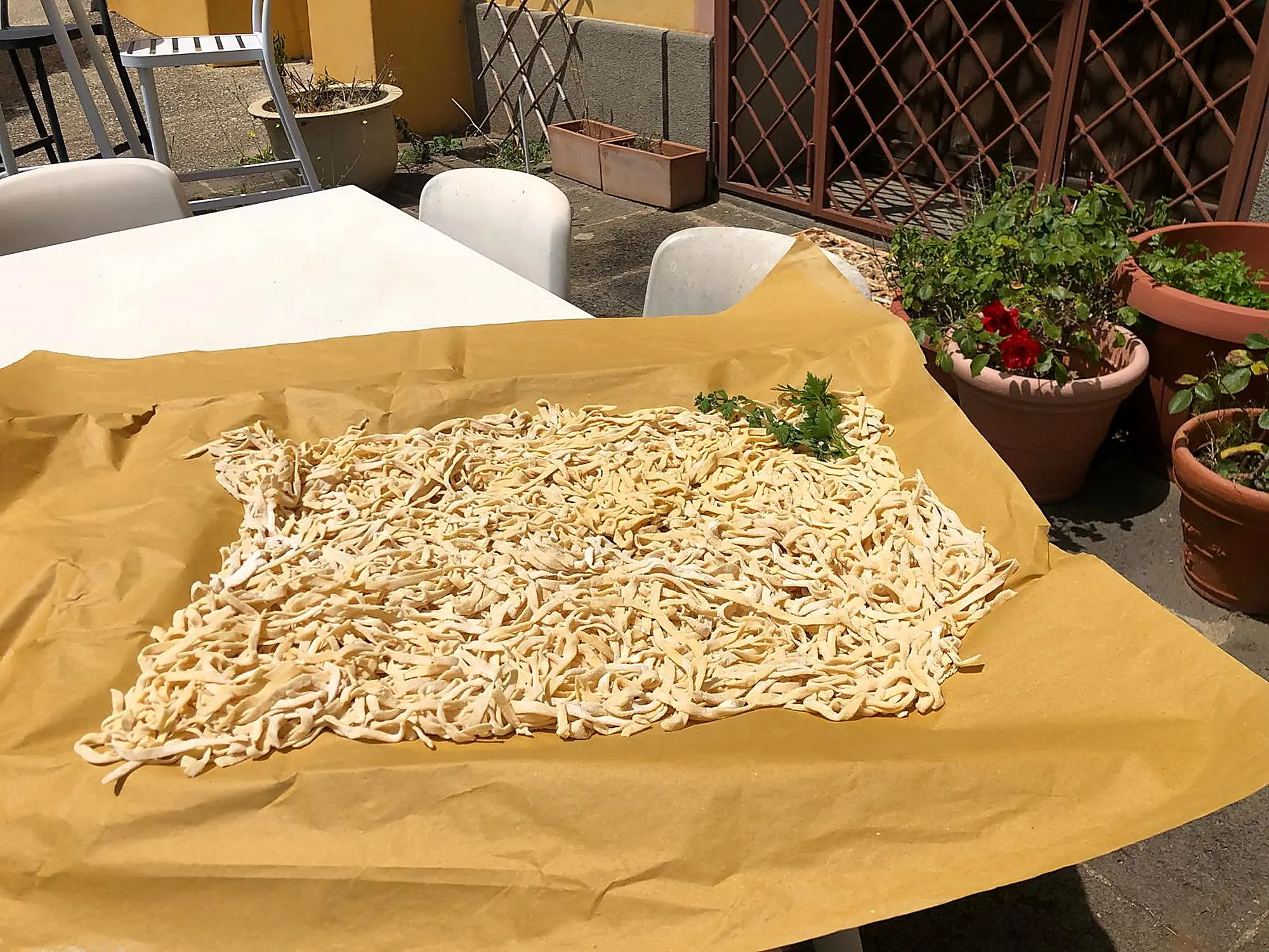 Fettuccine all'Uovo
